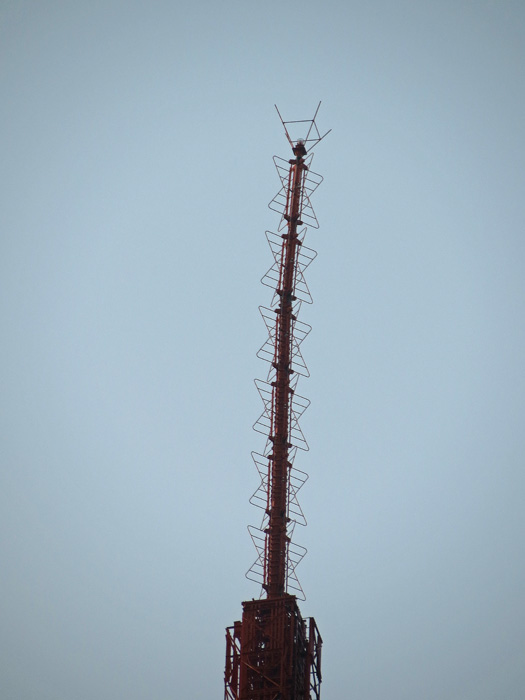 d0016587_164959.jpg
