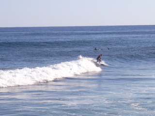 a0137192_90319.jpg