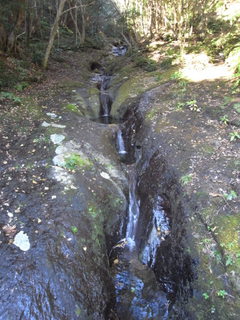 a0137192_9124553.jpg