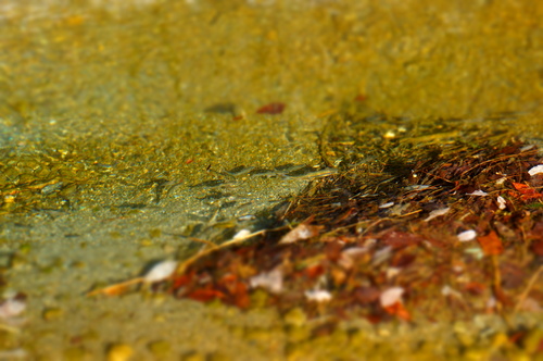c0095801_2382069.jpg