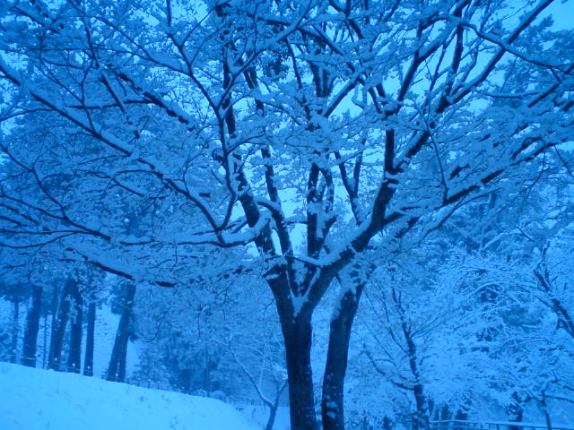 c0202101_084821.jpg