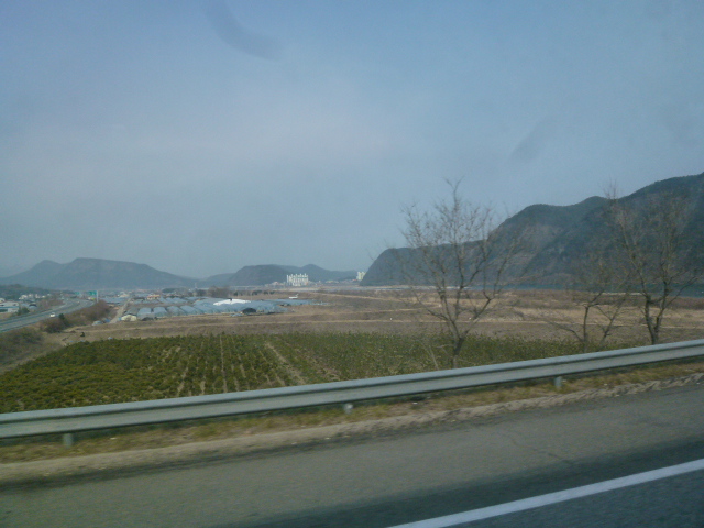 a0140305_2165066.jpg