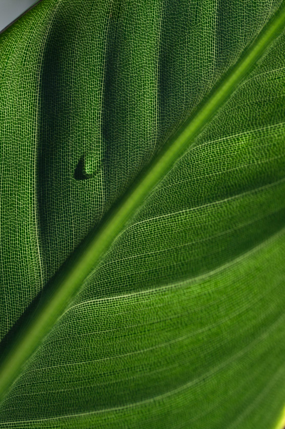 d0176509_2254164.jpg
