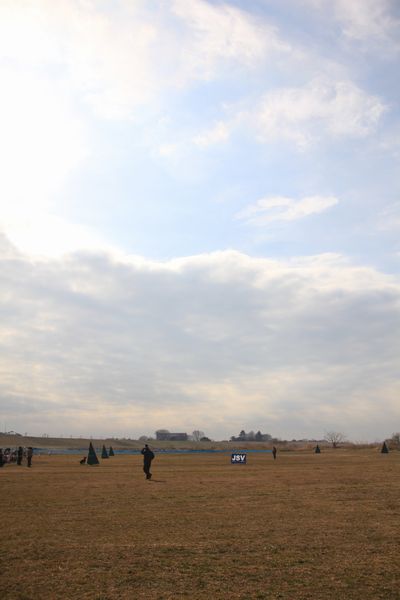 d0224111_19343518.jpg