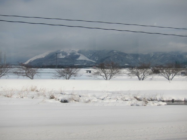 c0225420_206195.jpg