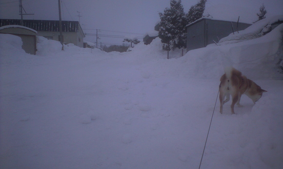 e0227023_20124877.jpg