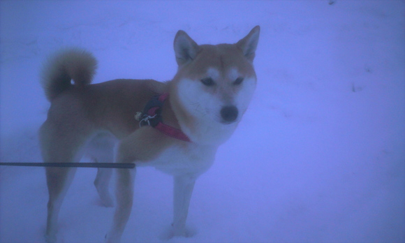 e0227023_20134055.jpg