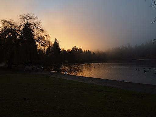 f0111926_15153151.jpg