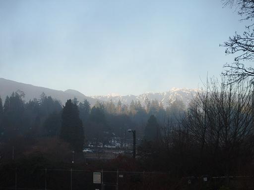 f0111926_1552514.jpg