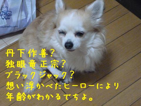 b0138430_1928197.jpg