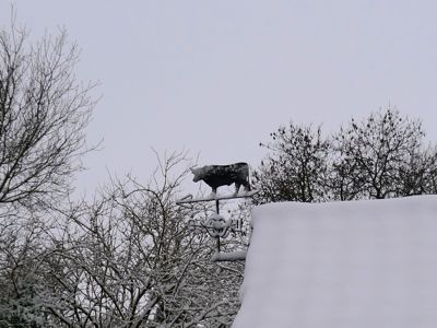 f0165831_23271150.jpg