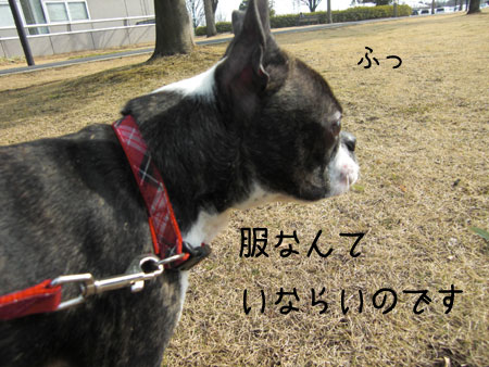 a0190132_17244637.jpg