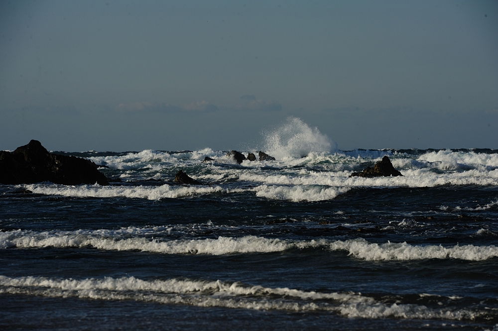 c0221838_2246437.jpg