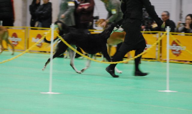 f0039538_21341097.jpg