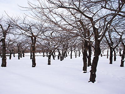 e0022839_22402717.jpg