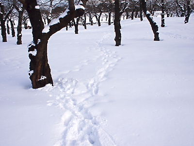 e0022839_22403782.jpg