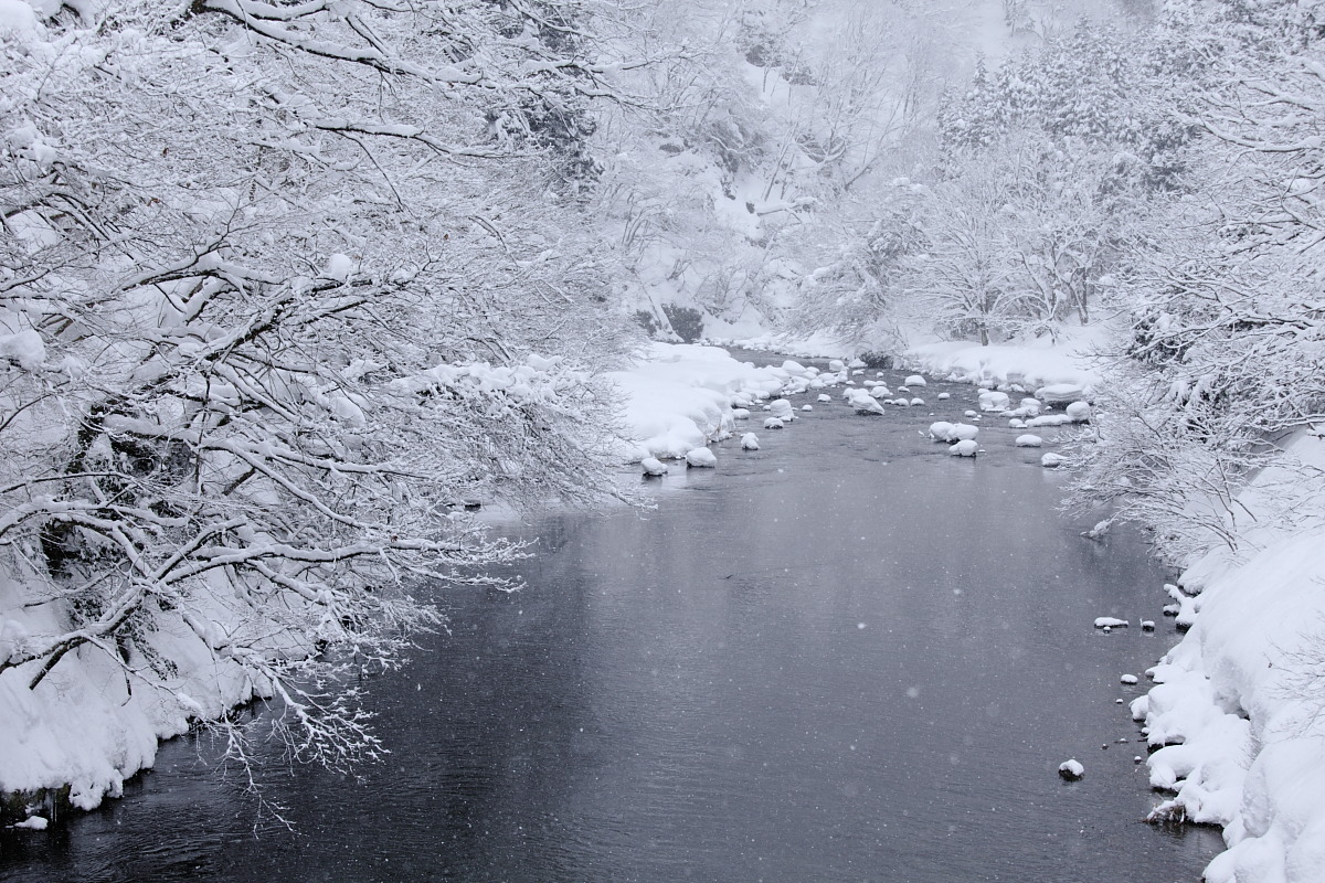 d0135242_20584295.jpg