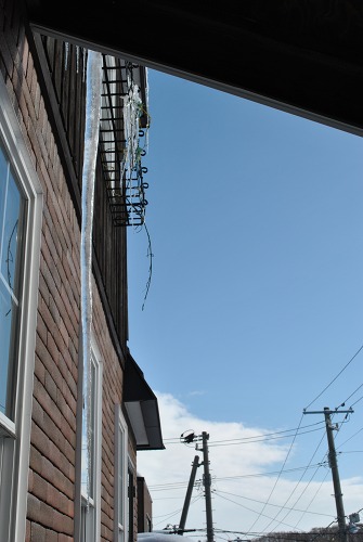 e0159050_1152230.jpg