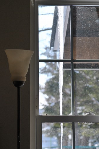 e0159050_1155996.jpg