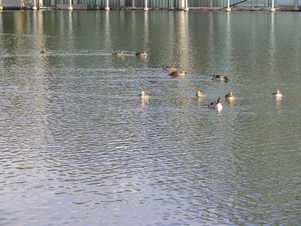 b0220251_1734508.jpg
