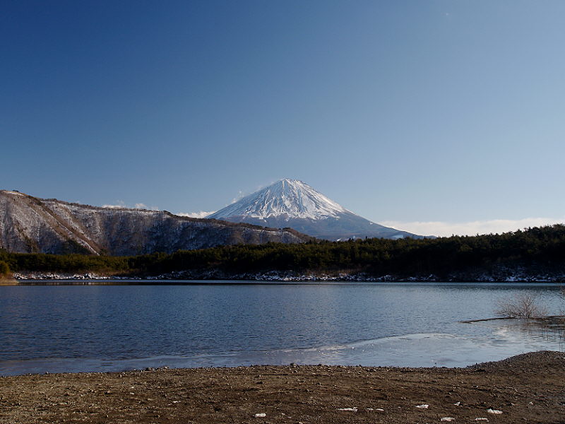 d0091754_1452350.jpg