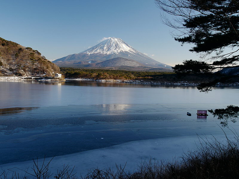 d0091754_251719.jpg