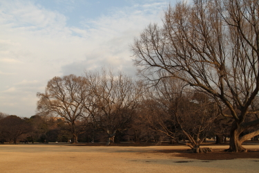 f0214858_192544100.jpg