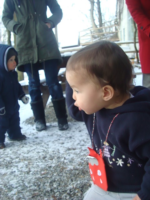 c0059063_21212161.jpg