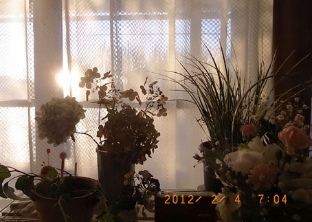 b0075364_8581789.jpg