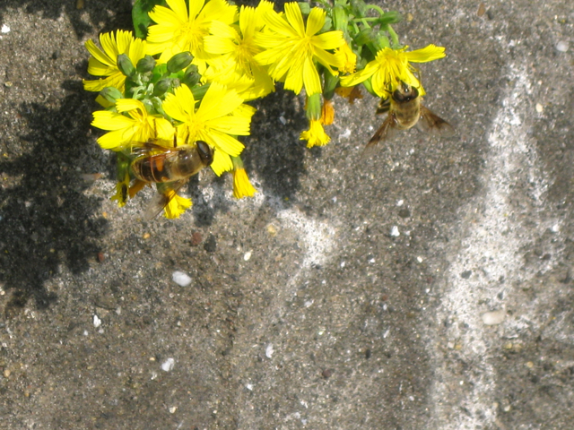 b0174079_2142290.jpg