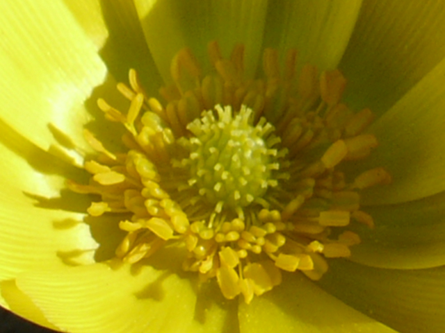 e0145782_177720.jpg