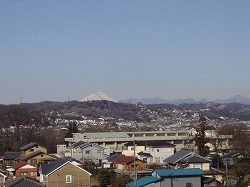 a0142083_2120419.jpg