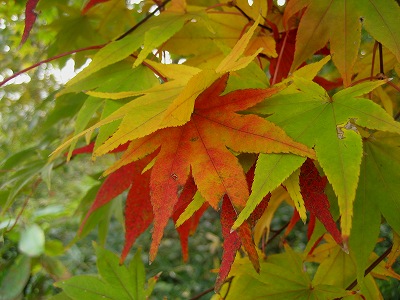c0229483_9273349.jpg