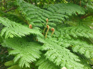 d0240983_2231746.jpg