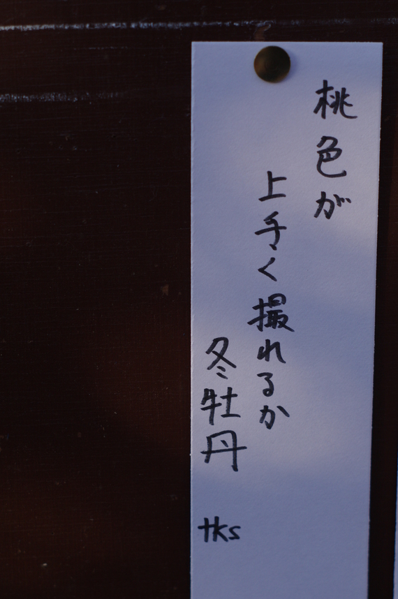 b0160184_912419.jpg