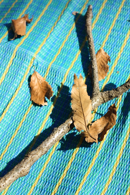 a0238703_059401.jpg