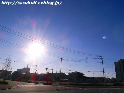 e0145805_171525.jpg