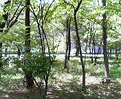 a0212807_20115430.jpg