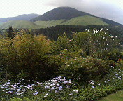 a0212807_2053575.jpg