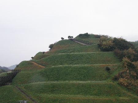 b0061107_4581880.jpg