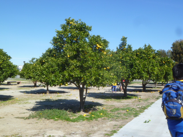 a0144811_9232118.jpg