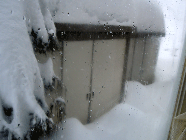b0159611_22362177.gif