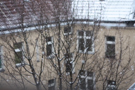 f0200015_2112950.jpg