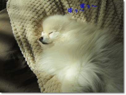 b0167519_902616.gif