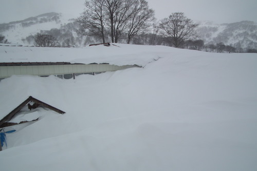 f0118332_011480.jpg