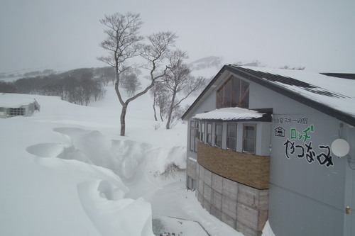 f0118332_013231.jpg