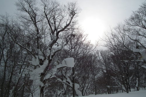 f0118332_075871.jpg