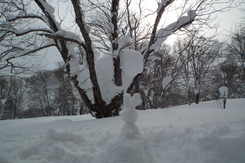 f0118332_081866.jpg