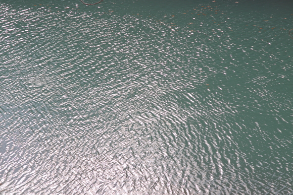 a0227137_23401574.jpg