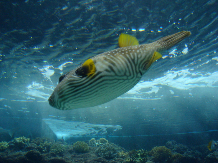 a0046339_2159479.jpg